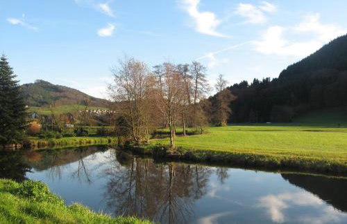 Alte Schmiede - Foto 14