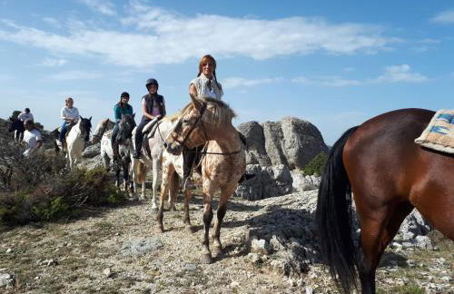 Entrada Río Lobos - Photo 44