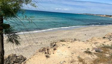 Villa Le Conche - Flora - Foto 4