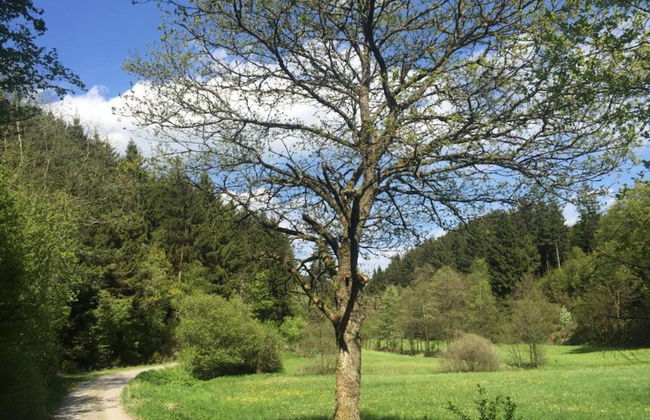 Apartment in Bruchhausen Right on the Fishing River - Foto 50