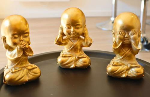 Le Moment Bien-Être - jacuzzi privatif, terrasse et parking privé gratuit au centre de Saint-Omer - Foto 20