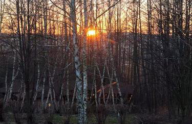 Domki Winnica Maria Anna - Foto 29