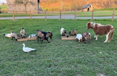 Gite les bois d Orceil - Foto 6