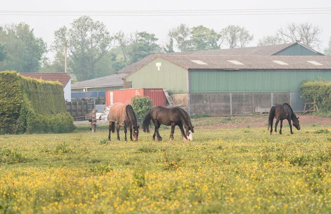 Cozy City Retreat in Bristol With Parking & Patio - Foto 13