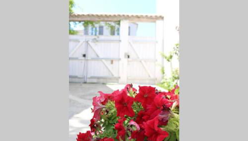 Beau T3 *** pour 2 à 4 pers avec patio privatif - Foto 3