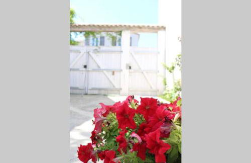 La Virginie - Suite Ile'Ô - Foto 24