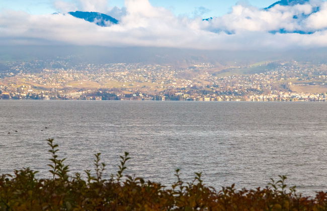 Le Cabanon - Foto 34