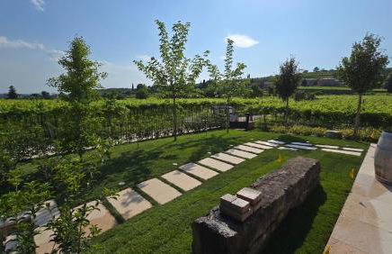 Agriturismo Igino - Relax fra i Vigneti della Valpolicella - Foto 39