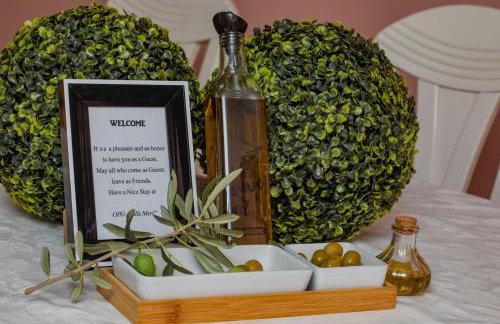 OPG Villa Meri - Foto 54