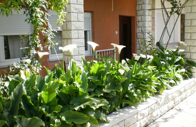 Apartmani Marija - Foto 24