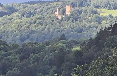 Ferienhaus am Berg - Foto 45