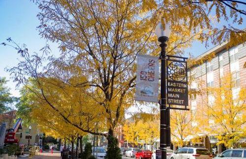 Entire rowhouse in Capitol Hill with free parking - Foto 43