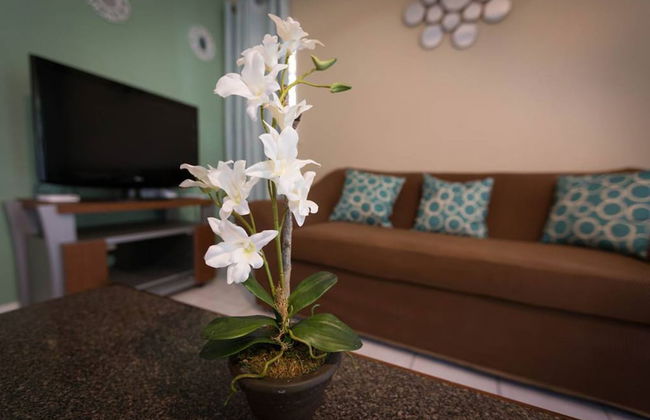 Kingston Most Centrally Located One Bdrm - Foto 9