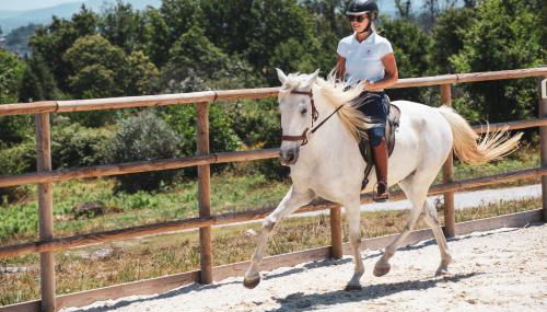 Quinta Lusitânia - Foto 4