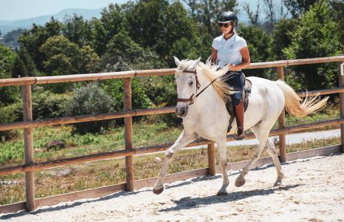 Quinta Lusitânia - Foto 4