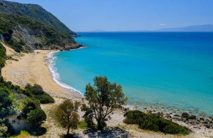 Tree of Life - Foto 41