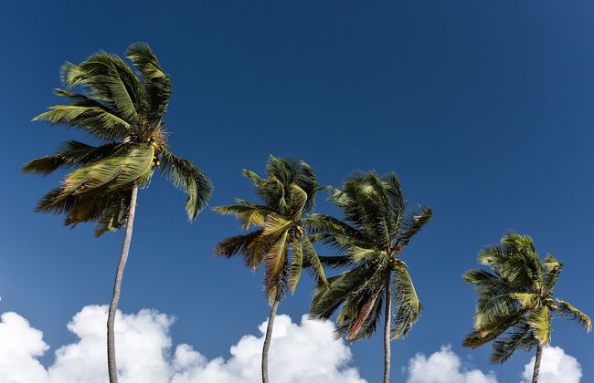 Le Village de la Pointe - Photo 55