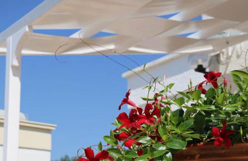 Mare Relax - Foto 31