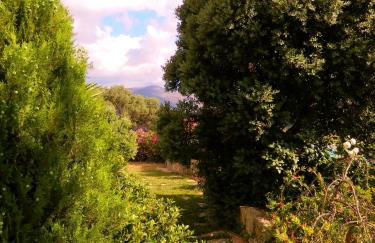 Crete Family Villas - Foto 8