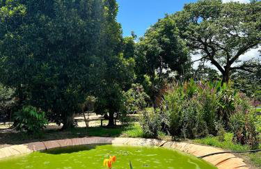 Chácara Ecológica e Sustentável - Photo 61