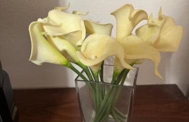 Soccer fans welcome! Cozy home in Kansas City area - Foto 14