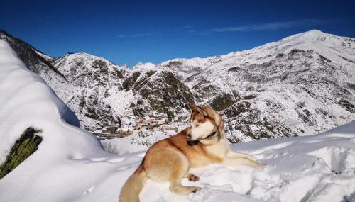 El Invernal de Picos - Photo 2