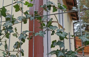 WHITE Apartment - Foto 12