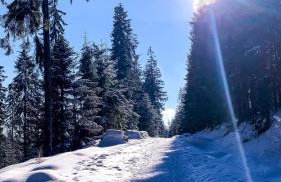 Apartament Telkom 1 - Foto 23