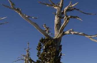 Tana Libera Tutti 3 Nature, Yourself, Love - Foto 42