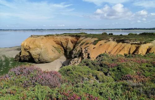 Maison située entre plage la mine d'or et bourg - Foto 14