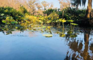 StargazerCaddo Lake Cabin with Kayaks - Foto 30