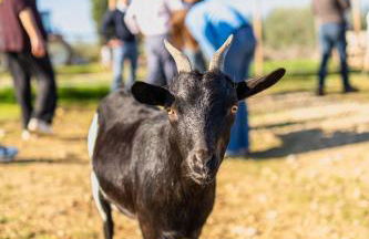 Agriturismo Sole - Foto 61