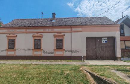 Holiday House Slavonska oaza - Foto 21