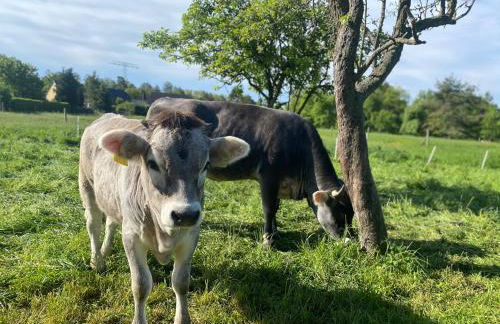 Ferienwohnung auf dem Bauernhof - Foto 4