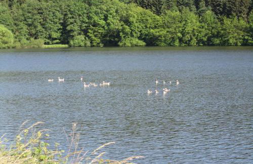 Ferienwohnung Erlenhof - Foto 19