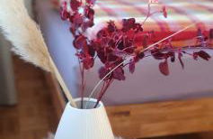 Marie´s Sonnenterrasse - Photo 22