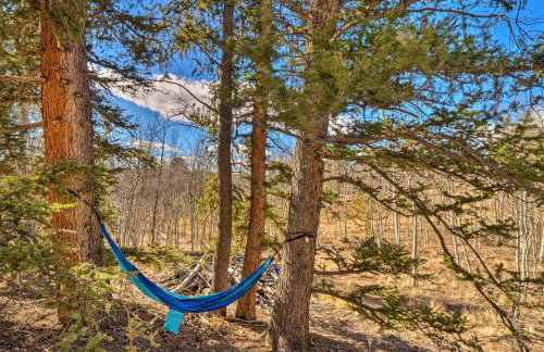 Family-Friendly Jefferson Cabin with Fire Pit! - Foto 37