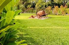 Gerês - Kasa da Caniçada - Foto 35