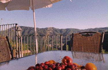 La Pianella Farmhouse - Foto 18