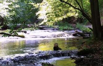 PIZUNY Dom pod dębem z balią na wyłączność - Foto 62