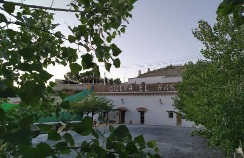 Cueva El Haro - Photo 34