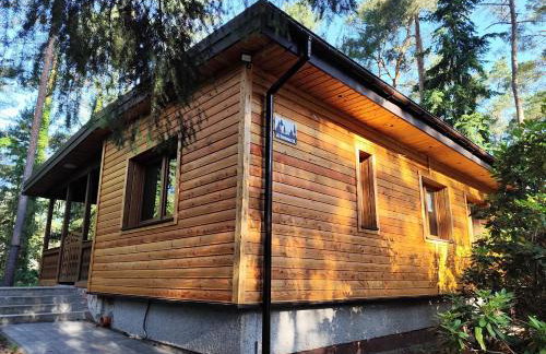 Jutowa Chata - nocleg bliżej natury - Foto 51