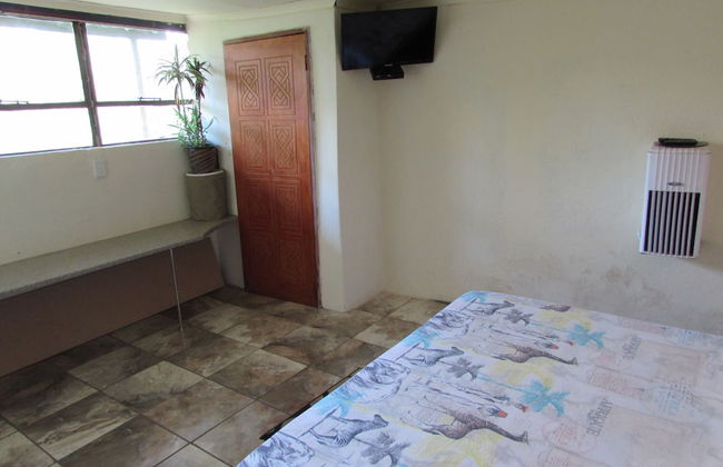 Amazing Tree in Lounge Eco Apartment With Leopards Passing by at Night - Foto 5