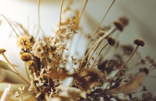 The Old Timber Store - Foto 17