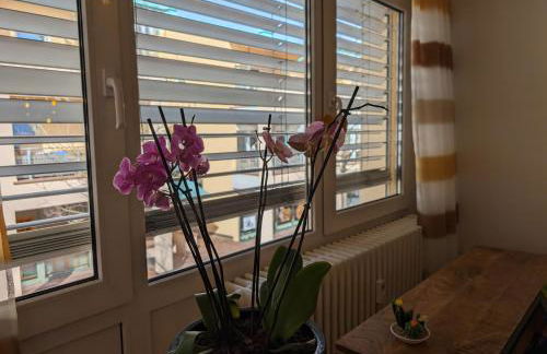 SONNENSCHEIN... ankommen und Zuhause fühlen... Apart-VL - Foto 13