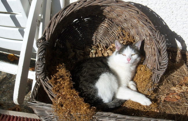 Ferienhaus, Zenting - Foto 32