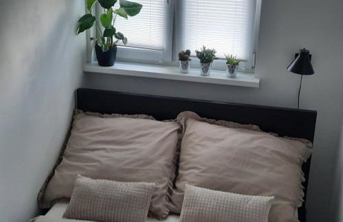 GOLD&BLACK OŚWIĘCIM CENTRUM - Photo 11