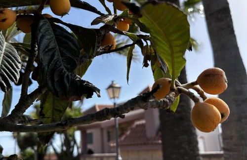 Casa La Quinta - Foto 14