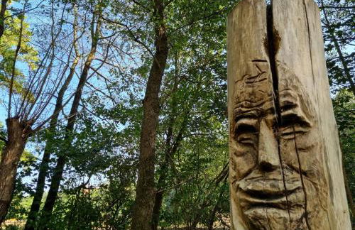 Ferienhaus Rehblick - direkt in der Natur, mit Lesezimmer und zwei Terrassen - Foto 38