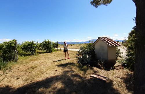 Casale in collina vista Assisi,Brufa di Torgiano - Foto 43